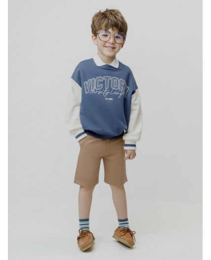 КР 400637/коричневый 1038 к736 шорты