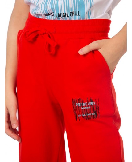 Комплект детский (футболка/брюки) Белый/красно-коричневый