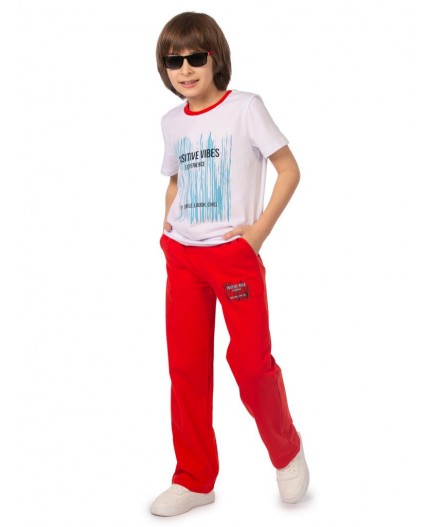 Комплект детский (футболка/брюки) Белый/красно-коричневый
