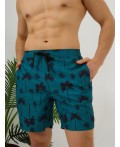 Купальные шорты муж. Doman набивка